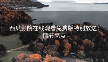 西瓜影院在线观看免费版特别放送：情节亮点