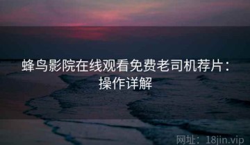 蜂鸟影院在线观看免费老司机荐片：操作详解