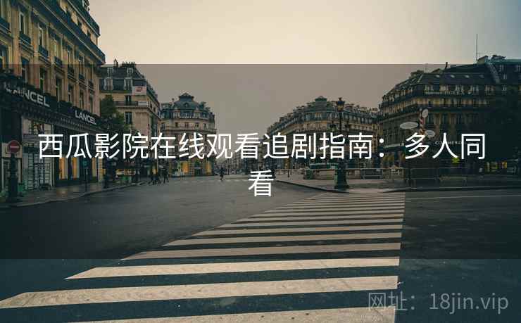 西瓜影院在线观看追剧指南：多人同看